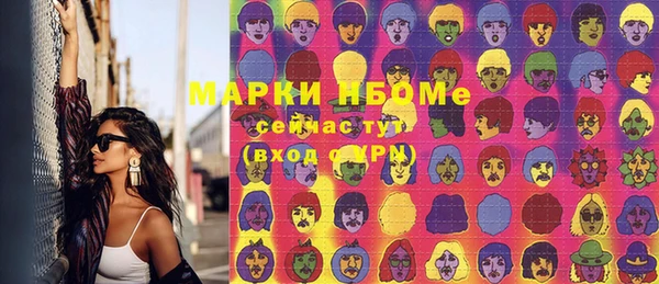 индика Алексин