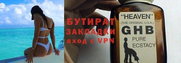 индика Алексин