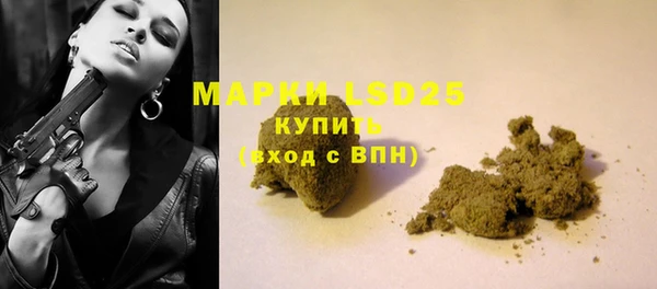 индика Алексин