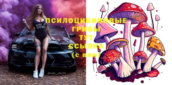 2c-b Алзамай