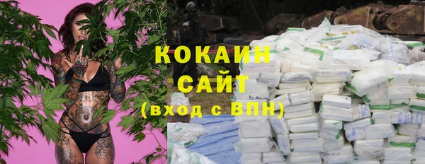 индика Алексин