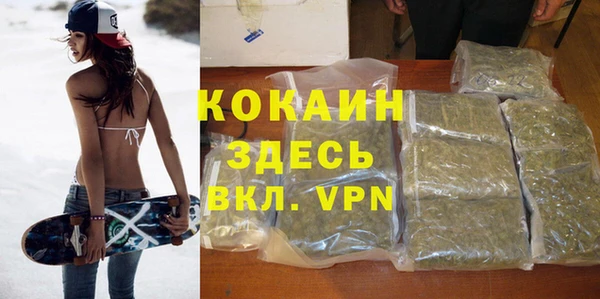 индика Алексин