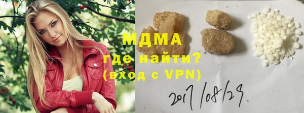индика Алексин