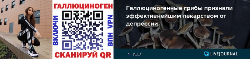 KRAKEN зеркало  Карабулак  Псилоцибиновые грибы Psilocybe 