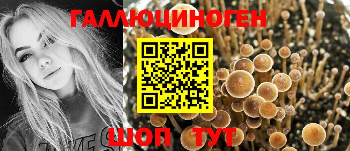 Галлюциногенные грибы мухоморы Карабулак