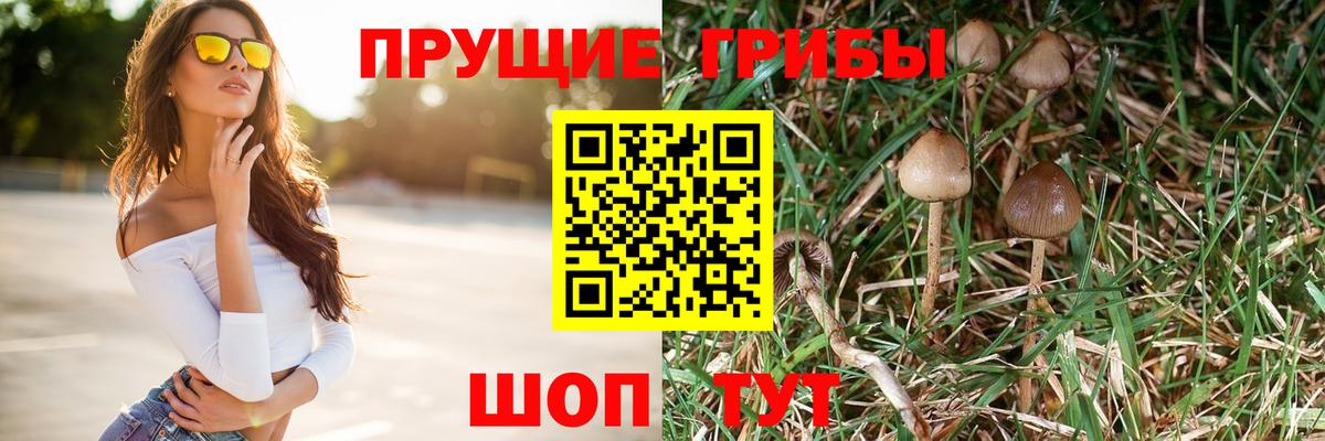 Псилоцибиновые грибы мицелий  Вход с VPN  Карабулак  Галлюциногенные грибы Psilocybine cubensis 